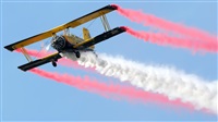 �Andrzej Rejter. Click to see full size photo