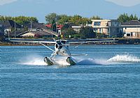 Melvin Pereira - Iberian Spotter. Click to see full size photo