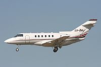 Jos Miguel Bernases - Noisy Spotters. Click to see full size photo