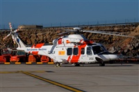 Javier de la Cruz - CANARY ISLANDS SPOTTING. Click to see full size photo