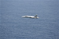 Rafael Alejandro Padrn Padrn(canary islands spotting). Click to see full size photo