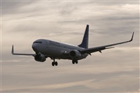 Luciano de la Rosa Gutirrez (Tenerife) Canary Islands Spotting. Click to see full size photo