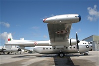 Rui Guerreiro - www.portugalspotters.org. Click to see full size photo