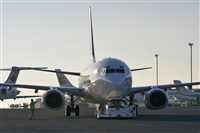 Caledonian_B.Cal. Click to see full size photo