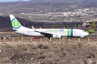 Alfonso Sols - Asociacin Canary Islands Spotting. Click to see full size photo