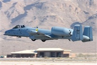 Click here to see full size photo