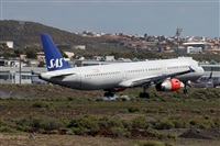 Nacho Rodriguez - Canary Islands Spotting. Click to see full size photo