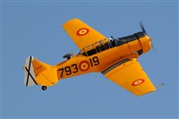 Jos Manuel Manzaneque. Click to see full size photo