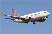 ©Alfonso Solís - Asociación Canary Islands Spotting. Click to see full size photo ©Alfonso Solís - Asociación Canary Islands Spotting. Click to see full size photo