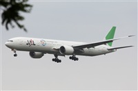 Adrin Alonso Lemes - Lanzarote Spotters. Click to see full size photo