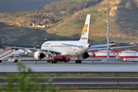 Miguel A. gueda Rguez.  (CANARY ISLANDS SPOTTING). Click to see full size photo