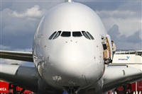 Rui Alves - Madeira Spotters. Click to see full size photo