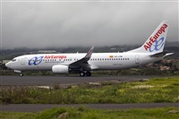 Javier de la Cruz - CANARY ISLANDS SPOTTING. Click to see full size photo