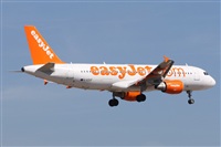 Alfonso Sols - Asociacin Canary Islands Spotting. Click to see full size photo