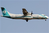 Rubn Gil - Noisy Spotters. Click to see full size photo