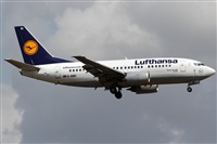 Rubn Gil - Noisy Spotters. Click to see full size photo