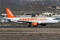 ©Alfonso Solís - Asociación Canary Islands Spotting. Click to see full size photo ©Alfonso Solís - Asociación Canary Islands Spotting. Click to see full size photo