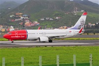 Miguel A. gueda Rguez.  (CANARY ISLANDS SPOTTING). Click to see full size photo