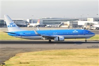 Miguel A. gueda Rguez.  (CANARY ISLANDS SPOTTING). Click to see full size photo