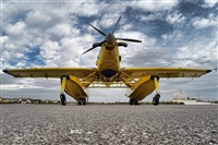 Marcos S.. Click to see full size photo