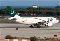 Miguel Alia - Noisy Spotters. Click to see full size photo