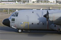 Paco Muoz Arencibia - Gran Canaria Spotters. Click to see full size photo