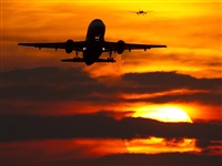 Rubn Gil - Noisy Spotters. Click to see full size photo