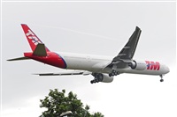 Miguel A. gueda Rguez.  (CANARY ISLANDS SPOTTING). Click to see full size photo