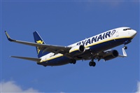 Saimon J Rodriguez   -   Canary Islands Spotting. Click to see full size photo