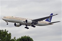 Miguel A. gueda Rguez.  (CANARY ISLANDS SPOTTING). Click to see full size photo