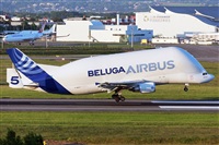 Florencio Martn Melin - Lanzarote Spotters. Click to see full size photo