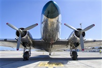 Paco Muoz Arencibia - Gran Canaria Spotters. Click to see full size photo