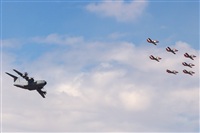 David Manuel Tobarra Ruiz - Spotters Murcia. Click to see full size photo