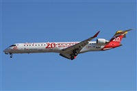 ©Alfonso Solís - Asociación Canary Islands Spotting. Click to see full size photo ©Alfonso Solís - Asociación Canary Islands Spotting. Click to see full size photo