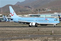 ©Alfonso Solís - Asociación Canary Islands Spotting. Click to see full size photo ©Alfonso Solís - Asociación Canary Islands Spotting. Click to see full size photo