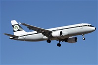 ©Alfonso Solís - Asociación Canary Islands Spotting. Click to see full size photo ©Alfonso Solís - Asociación Canary Islands Spotting. Click to see full size photo