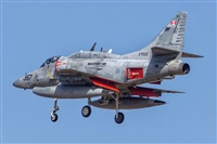 Bartolom Fernndez - Gran Canaria Spotters. Click to see full size photo