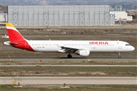 ©Alfonso Solís - Asociación Canary Islands Spotting. Click to see full size photo ©Alfonso Solís - Asociación Canary Islands Spotting. Click to see full size photo