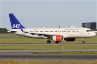 ©Alfonso Solís - Asociación Canary Islands Spotting. Click to see full size photo ©Alfonso Solís - Asociación Canary Islands Spotting. Click to see full size photo