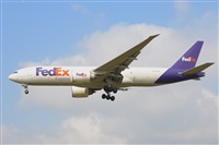 Miguel A. gueda Rguez.  (CANARY ISLANDS SPOTTING). Click to see full size photo