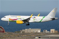 ©Adolfo Bento - Gran Canaria Spotters. Click to see full size photo ©Adolfo Bento - Gran Canaria Spotters. Click to see full size photo