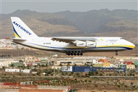©Adolfo Bento - Gran Canaria Spotters. Click to see full size photo ©Adolfo Bento - Gran Canaria Spotters. Click to see full size photo