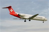 Miguel A. gueda Rguez.  (CANARY ISLANDS SPOTTING). Haz click para ampliar