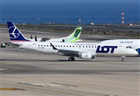 Alejandro H.L - Gran Canaria Spotters. Click to see full size photo