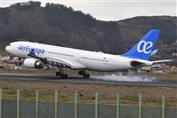 Miguel A. gueda Rguez.  (CANARY ISLANDS SPOTTING). Click to see full size photo