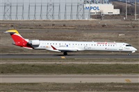 ©Alfonso Solís - Asociación Canary Islands Spotting. Click to see full size photo ©Alfonso Solís - Asociación Canary Islands Spotting. Click to see full size photo
