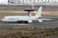 ©Alfonso Solís - Asociación Canary Islands Spotting. Click to see full size photo ©Alfonso Solís - Asociación Canary Islands Spotting. Click to see full size photo