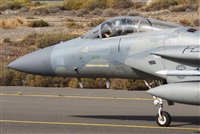 ©J. Victor Vega-Gran Canaria Spotters. Click to see full size photo ©J. Victor Vega-Gran Canaria Spotters. Click to see full size photo