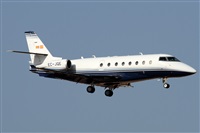 Alfonso Sols - Asociacin Canary Islands Spotting. Click to see full size photo