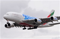 Miguel A. gueda Rguez.  (CANARY ISLANDS SPOTTING). Click to see full size photo